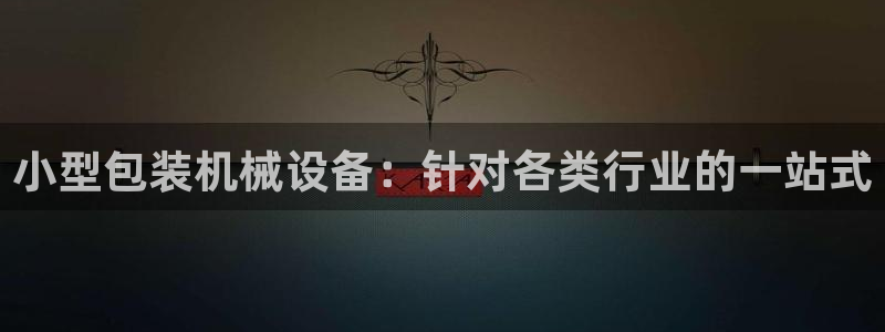杏盛代理：小型包装机械设备：针对各类行业的一站式