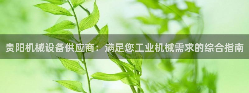 杏盛平台代理：贵阳机械设备供应商：满足您工业机械需求的综合指南
