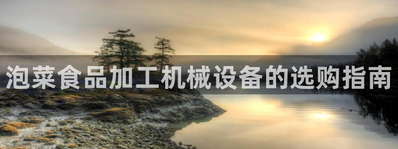 杏盛平台主管：泡菜食品加工机械设备的选购指南