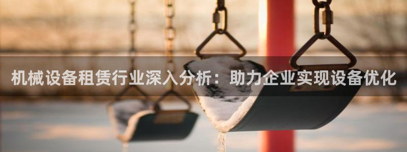 杏盛乐岳35994誓：机械设备租赁行业深入分析：助力企业实现设备优化