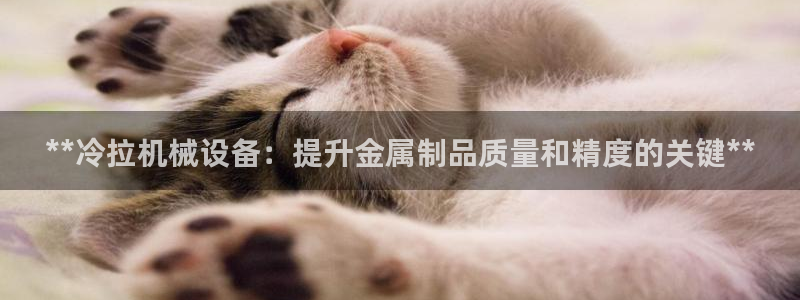 杏盛平台官网注册：**冷拉机械设备：提升金属制品质量和精度的关键**