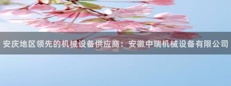 杏盛平台登陆地址：安庆地区领先的机械设备供应商：安徽中瑞机械设备有限公司