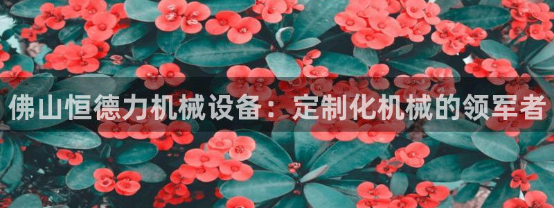 杏盛平台上级：佛山恒德力机械设备：定制化机械的领军者