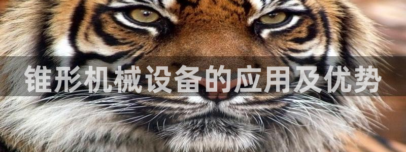 杏盛代理：锥形机械设备的应用及优势
