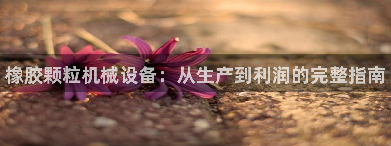 杏盛平台上级：橡胶颗粒机械设备：从生产到利润的完整指南