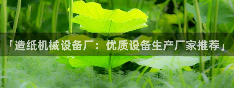 杏盛开户地址