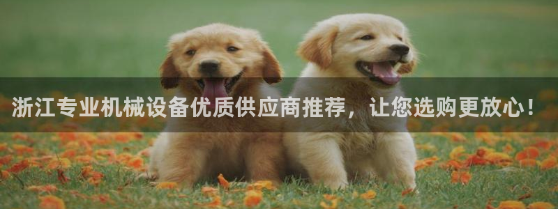 杏盛平台登录：浙江专业机械设备优质供应商