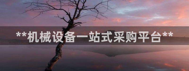 杏盛注册登录：**机械设备一站式采购平台**