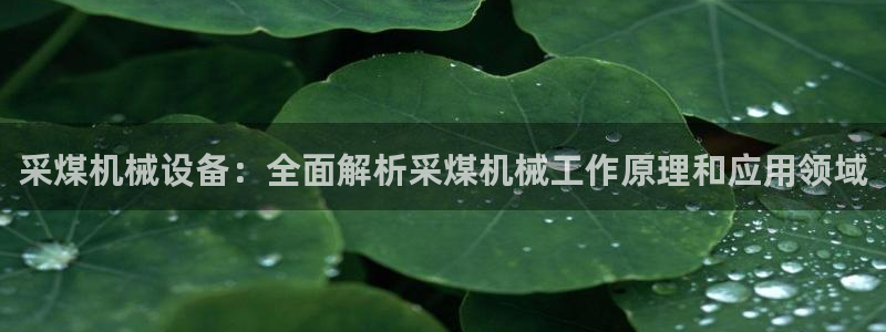 杏盛东24 35 53：采煤机械设备：全面解析采煤机械工作原理和应用领域