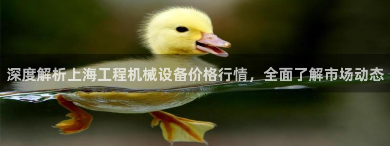 杏盛官网