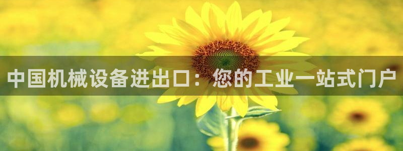 杏盛平台开户：中国机械设备进出口：您的工业一站式门户