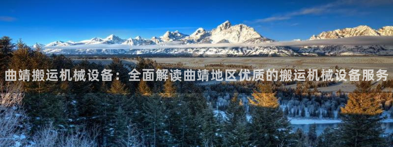 杏盛平台登陆：曲靖搬运机械设备：全面解读