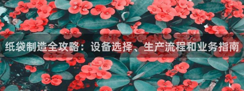 杏盛东24 35 53：纸袋制造全攻略：设备选择、生产流程和业务指南