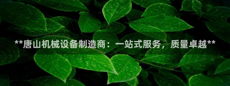 杏盛注册登录：**唐山机械设备制造商：一站式服务，质量卓越**