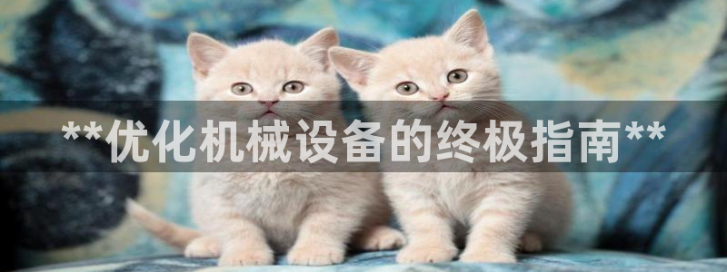 杏盛乐岳35994誓：**优化机械设备的终极指南**
