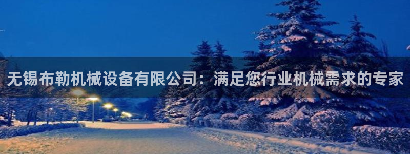 杏盛主管：无锡布勒机械设备有限公司：满足您行业机械需求的专家