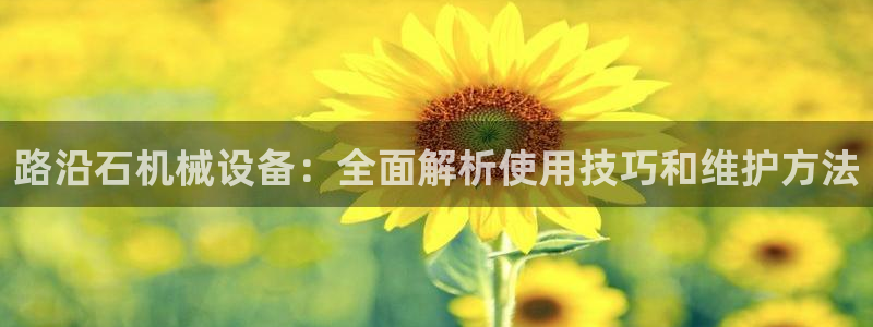杏盛平台官网注册登录：路沿石机械设备：全面解析使用技巧和维护方法