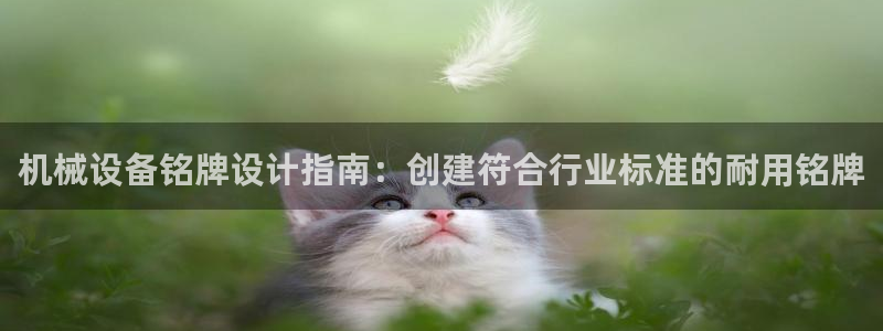 杏盛平台官网注册：机械设备铭牌设计指南：