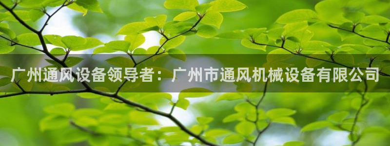 杏盛平台官网注册登录：广州通风设备领导者