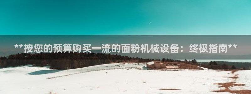杏盛娱乐代理：**按您的预算购买一流的面粉机械设备：终极指南**
