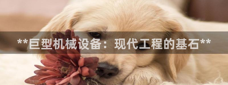 杏盛平台登录：**巨型机械设备：现代工程