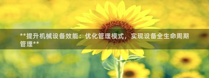 杏盛东24 35 53：**提升机械设备