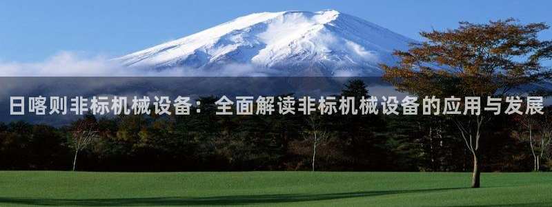 杏盛代理：日喀则非标机械设备：全面解读非