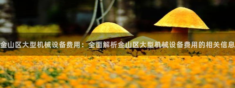 杏盛平台登陆：金山区大型机械设备费用：全
