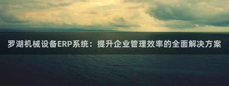 杏盛官网登录：罗湖机械设备ERP系统：提