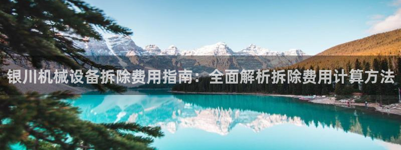 杏盛平台开户：银川机械设备拆除费用指南：