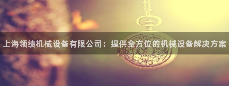 杏盛平台登录地址：上海领绩机械设备有限公