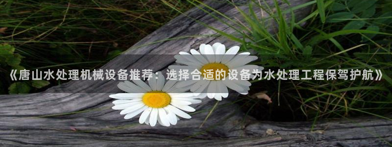 杏盛平台代理：《唐山水处理机械设备推荐：