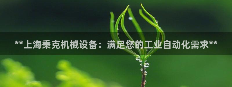 杏盛平台开户 贴吧：**上海秉克机械设备