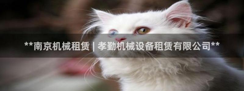 杏盛开户地址：**南京机械租赁 | 孝勤