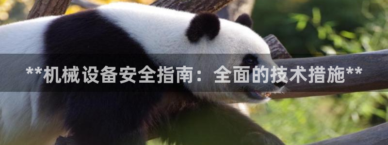 杏盛主管：**机械设备安全指南：全面的技