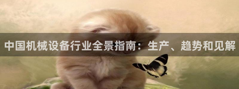 杏盛平台主管：中国机械设备行业全景指南：