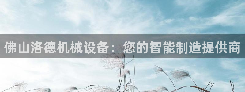 杏盛平台主管：佛山洛德机械设备：您的智能制造提供商