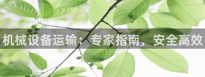 杏盛平台开户 贴吧：机械设备运输：专家指南，安全高效