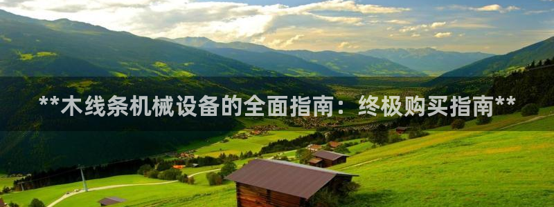 杏盛平台开户：**木线条机械设备的全面指南：终极购买指南**