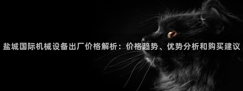 杏盛主管：盐城国际机械设备出厂价格解析：价格趋势、优势分析和购买建议