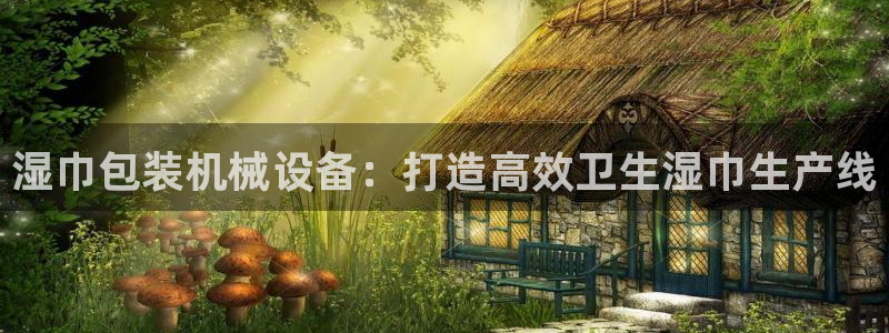 杏盛官网：湿巾包装机械设备：打造高效卫生湿巾生产线