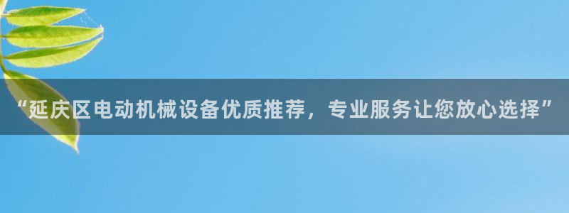 杏盛东24 35 53：“延庆区电动机械设备优质推荐，专业服务让您放心选择”