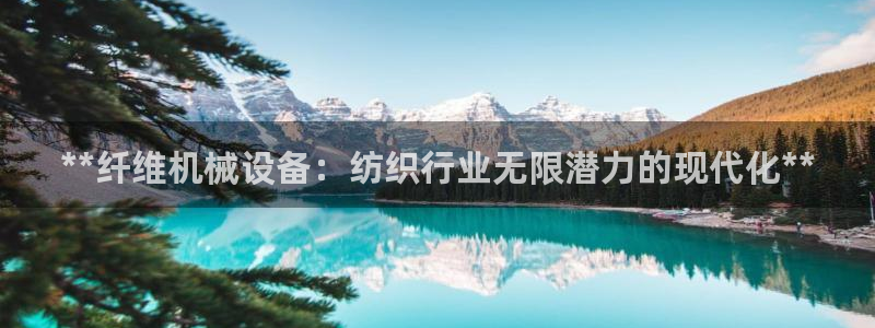杏盛代理：**纤维机械设备：纺织行业无限潜力的现代化**