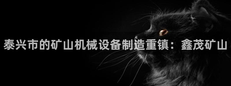杏盛平台登陆地址：泰兴市的矿山机械设备制造重镇：鑫茂矿山