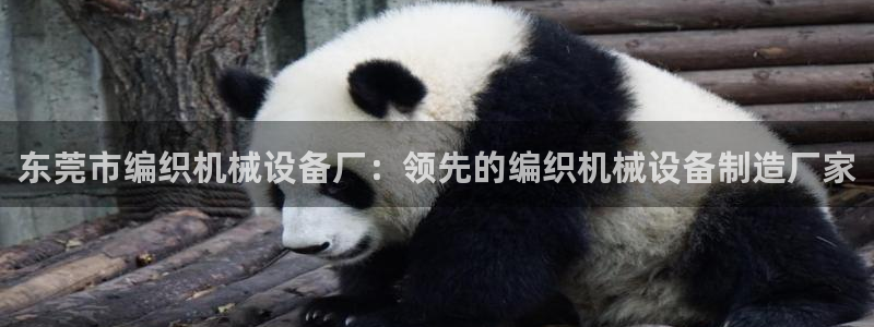 杏盛平台官网注册登录：东莞市编织机械设备厂：领先的编织机械设备制造厂家