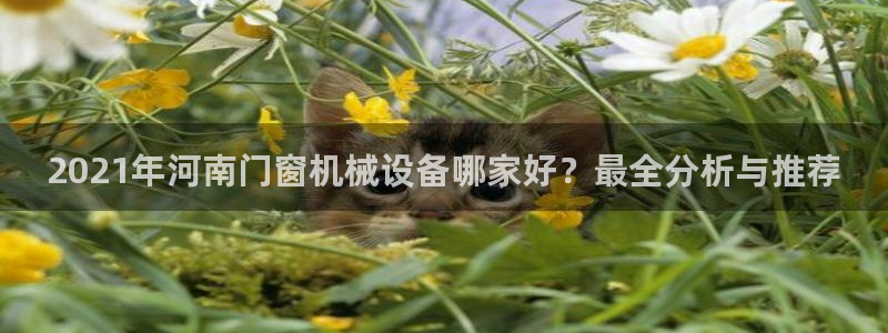 杏盛平台代理：2021年河南门窗机械设备哪家好？最全分析与推荐