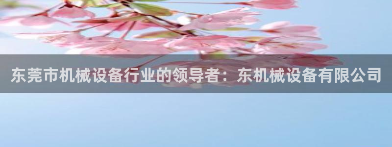 杏盛主管：东莞市机械设备行业的领导者：东机械设备有限公司