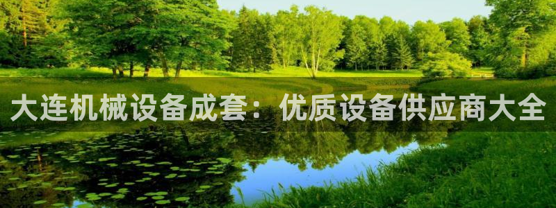 杏盛东24 35 53：大连机械设备成套：优质设备供应商大全