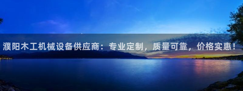 杏盛主管：濮阳木工机械设备供应商：专业定制，质量可靠，价格实惠！