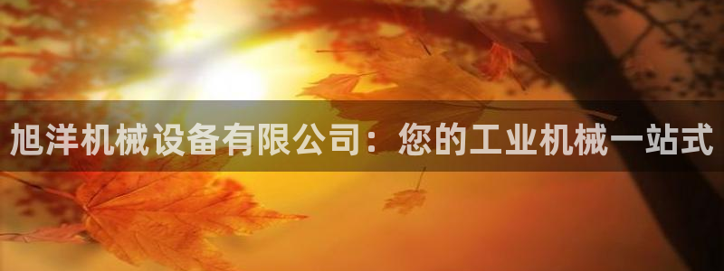 杏盛平台登录地址：旭洋机械设备有限公司：您的工业机械一站式